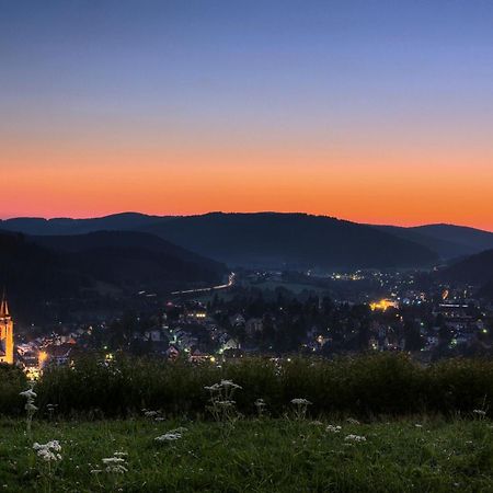 Drei Tannen - Wohnung 12 - Apartmenthaus, Titisee, Nahe Badeparadies Екстериор снимка