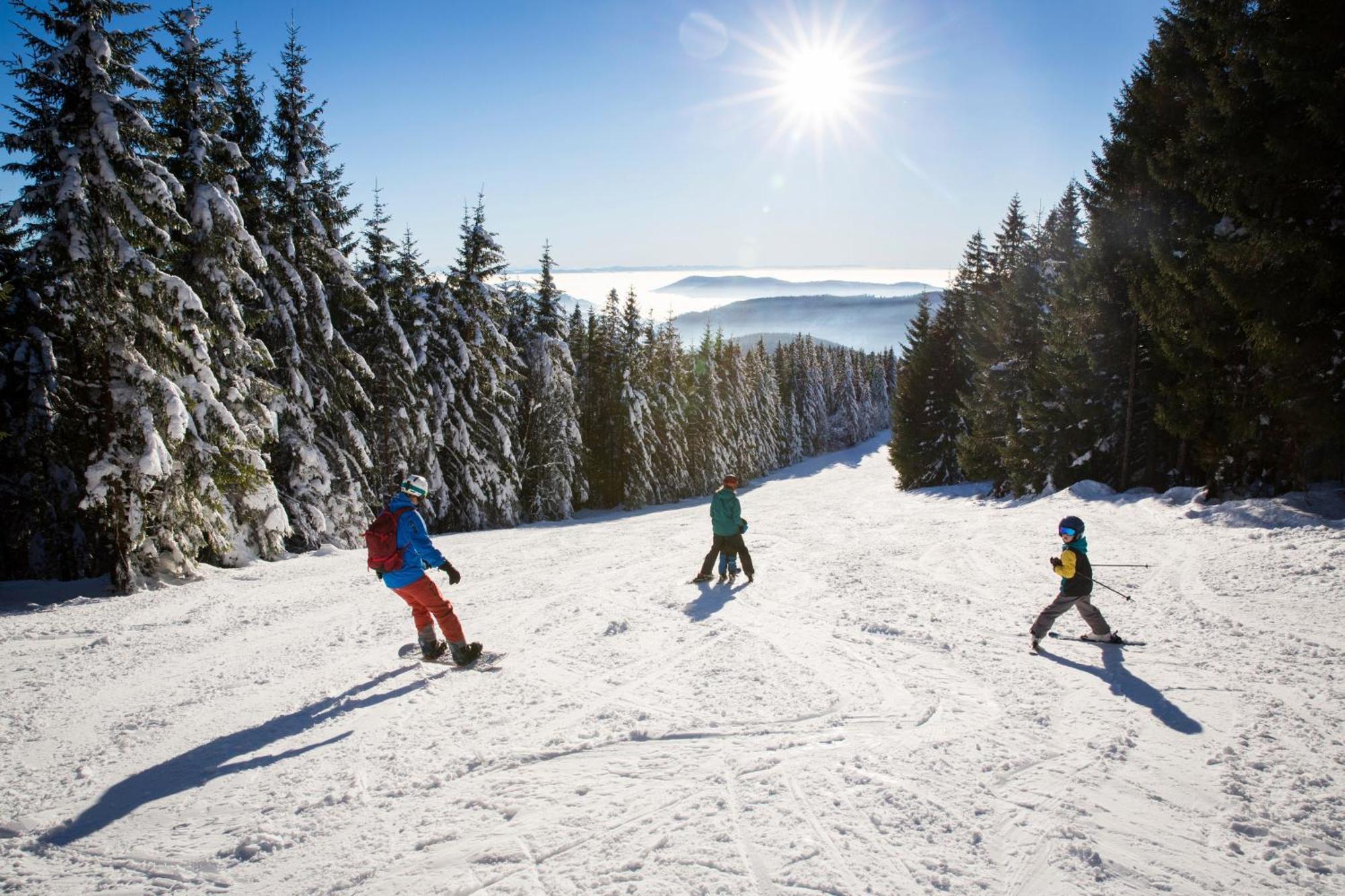 Drei Tannen - Wohnung 12 - Apartmenthaus, Titisee, Nahe Badeparadies Екстериор снимка