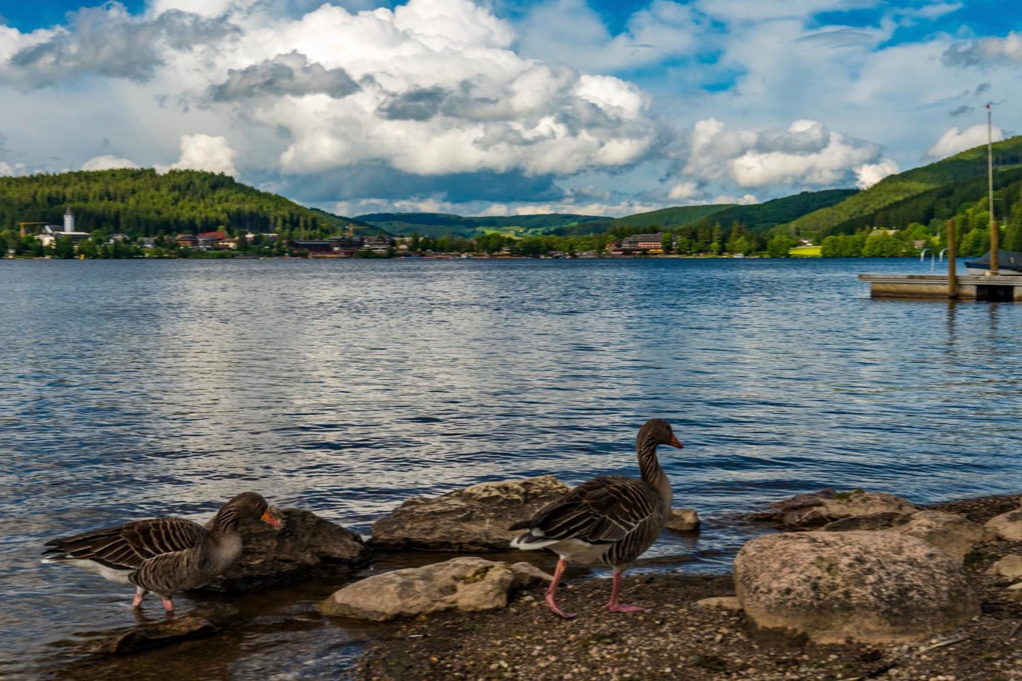 Drei Tannen - Wohnung 12 - Apartmenthaus, Titisee, Nahe Badeparadies Екстериор снимка