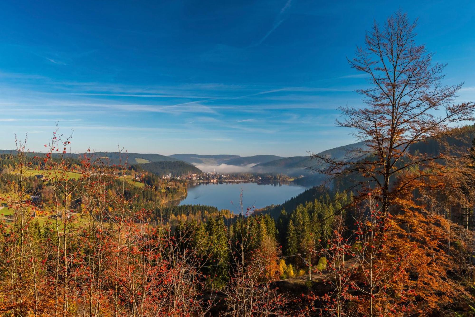 Drei Tannen - Wohnung 12 - Apartmenthaus, Titisee, Nahe Badeparadies Екстериор снимка